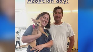 Spay and neuter talk with Louisiana SPCA