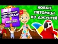 Adopt me РОБЛОКС ! Питомцы из ДЖУНГЛЕЙ ! Лимонадный челлендж  😂  (Кто выиграет ПРИЗ за 500$  ? )