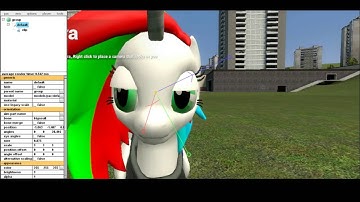Pony blinking tutorial Garry