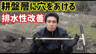 畑(元田んぼ)の水はけ改善【穴あけ】