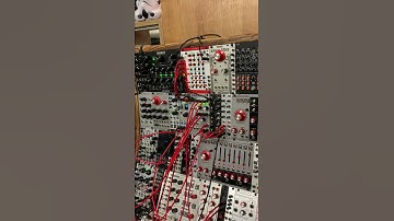 Squid Salmple First Jam