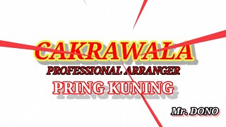 PRING KUNING  Sragenan Karaoke ber-lirik