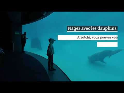 Vidéo: À Travers Les Rochers D'aigle Et La & Nbsp; Grotte & Nbsp; - Aux & Nbsp; Cascades D'Agursky! - Des Excursions Insolites à Sotchi