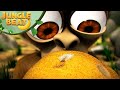 Why Is Munki So Shocked? 🤯 | Jungle Beat Funny Moment | Kids Cartoon 2026
