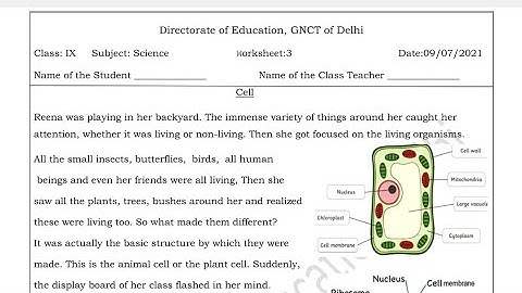 Science Worksheet 3 Class 9(9/7/2021)English Medium/Worksheet 3 Science Class 9/Worksheet Sci 3