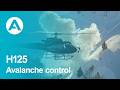 Avalanche control with the Airbus H125