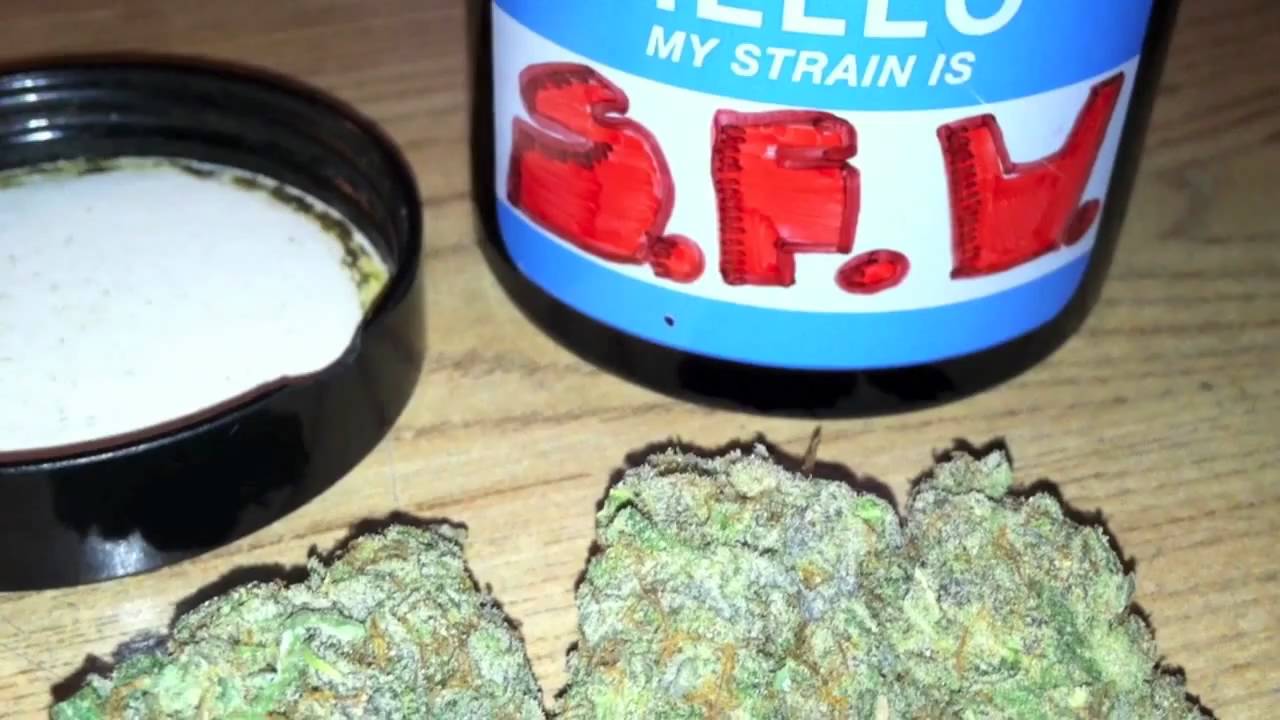 SFV OG Kush v Hawgsbreath