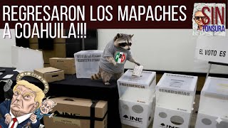 #EnVivo | Los mapaches regresaron a Coahuila - #SinTonsura #DéjenseAhí