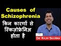 किन कारणों से स्किज़ोफ्रेनिअ होता है  Causes of Schizophrenia -Dr Rajiv Sharma Psychiatrist in Hindi