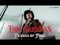 Eric sardinas planks of pine  official