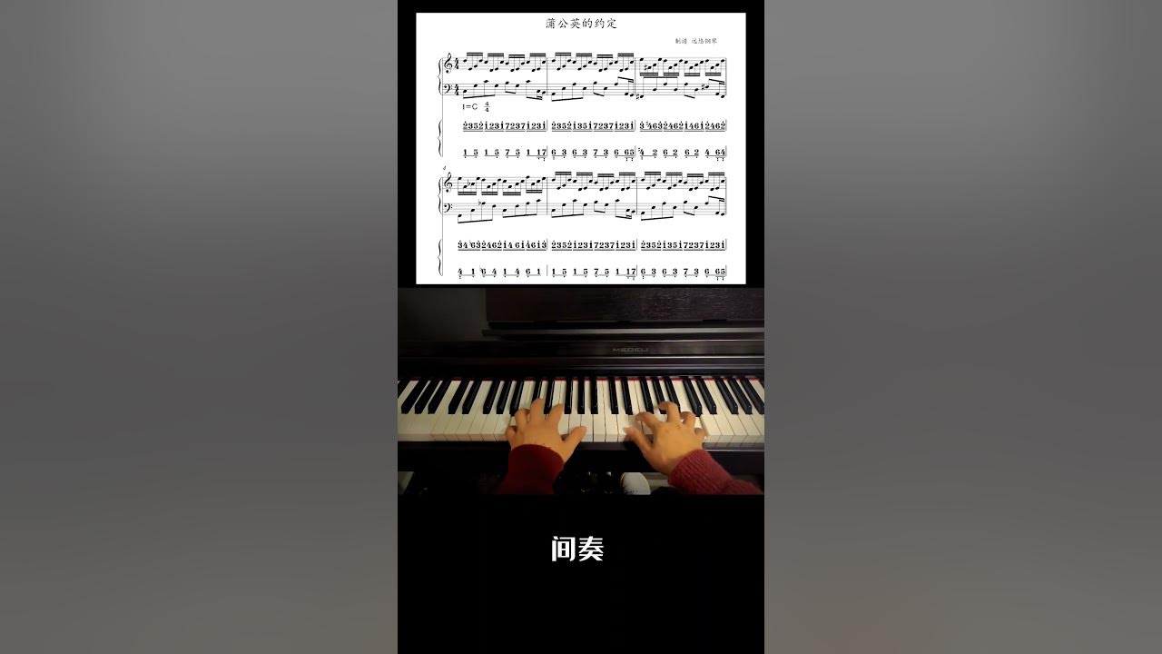 蒲公英的约定 路小雨 间奏