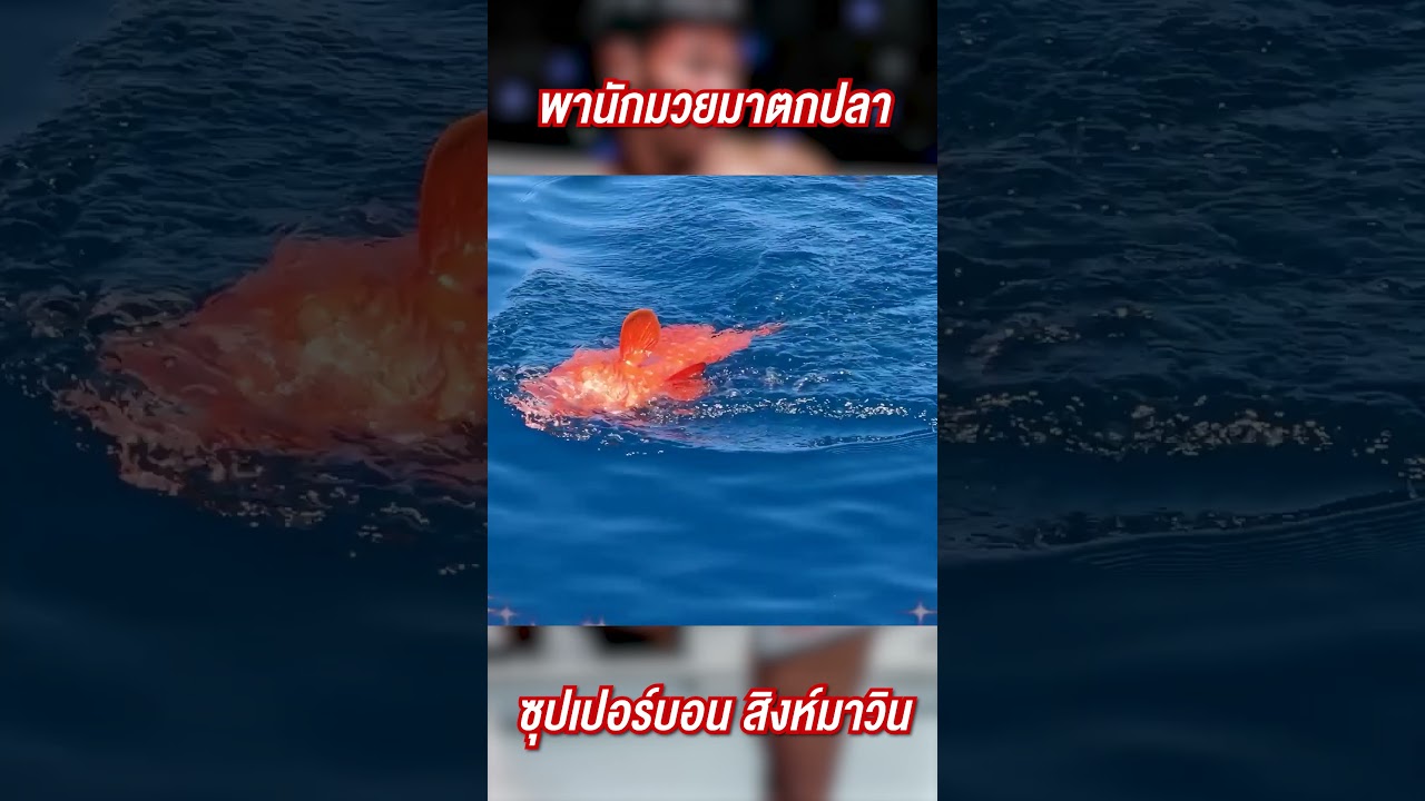 พานักมวยออกทะเลตกปลา ซุปเปอร์บอน สิงห์มาวิน !!