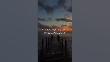 تلاوة هادئة ✨🩶 اسلام صبحي