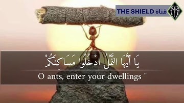 تلاوة القران الكريم (سورة النمل) “حتى إذا أتوا على وادي النمل قالت نملة” 🤎✨ بصوت القارئ إسلام صبحي