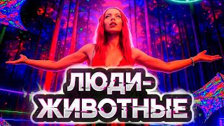 картинка: Такого я ещё не видел! Первый раз на фестивале СИСТО \  Solar Systo 2025.