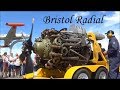 Bristol Hercules Sleeve Valve Radial Engine Run