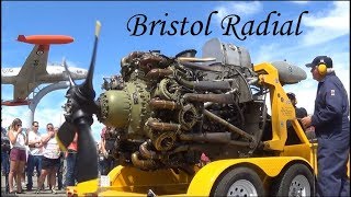 Bristol Hercules Sleeve Valve Radial Engine Run