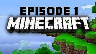 Mineplex  UHC For The First Time | Minecraft Gameplay