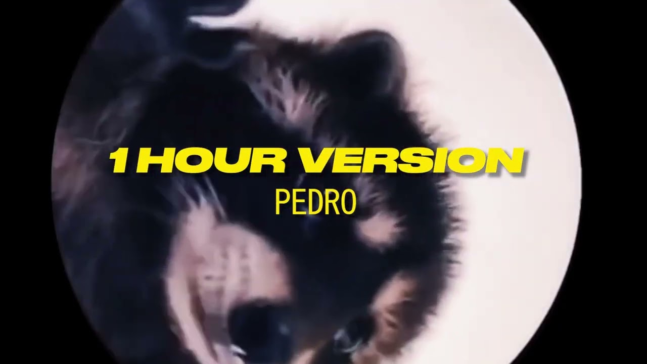 Dancing Raccoon (Pedro Pedro Pedro) 10 Hours