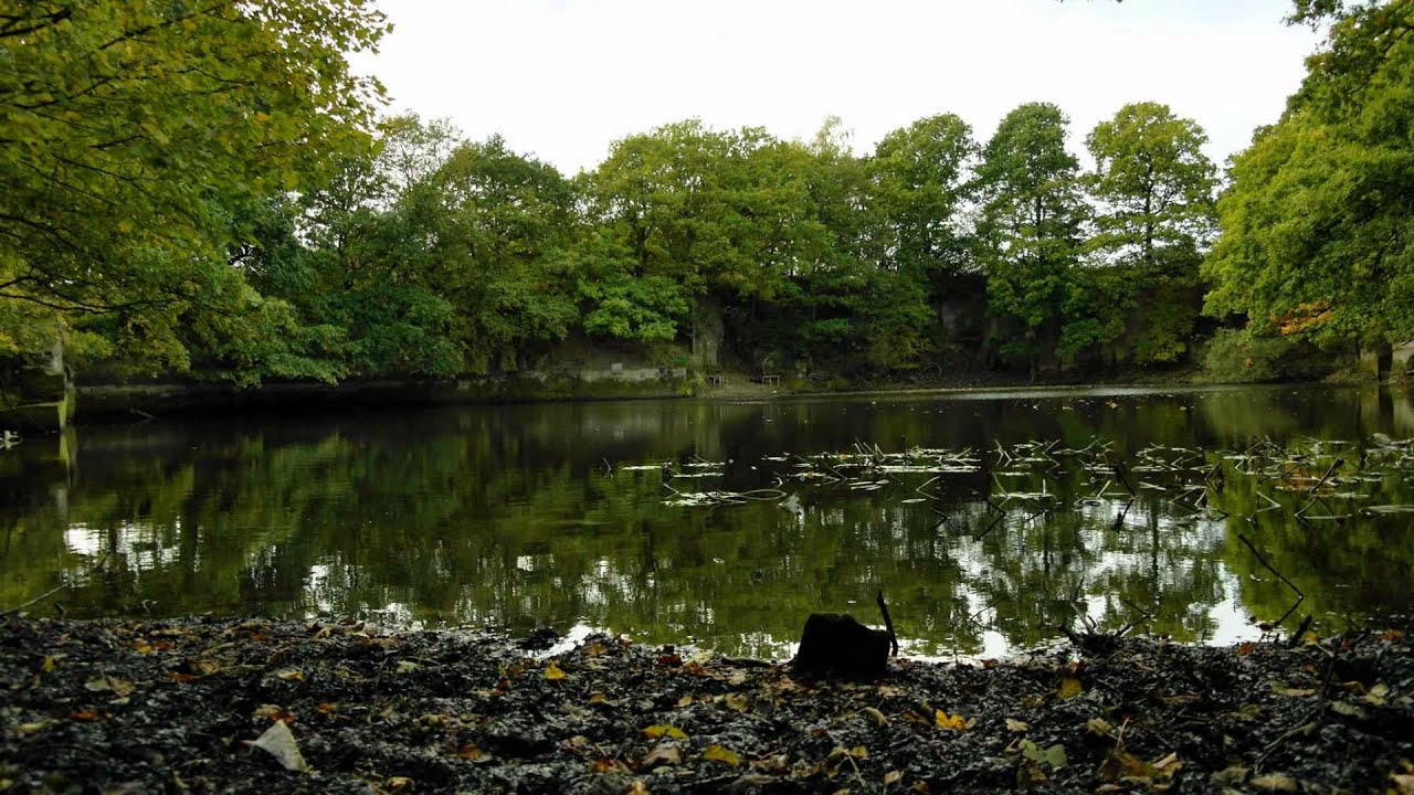 Delph Lane , Charnock Richard YouTube