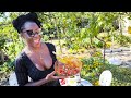 Salad and BBQ lunch with Mel, GD Films Sept 2024