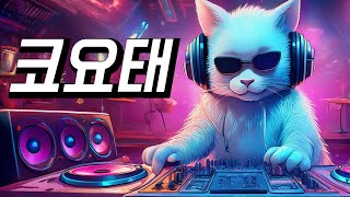 🔥Koyote Remix🔥Best Korean Dance Artist Team.