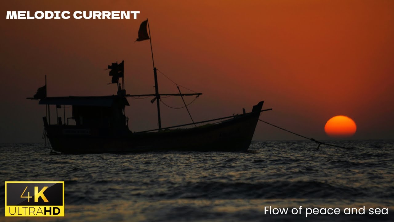 Seaside Flow 🌅 Acoustic Chill Voyage | Handpan, Marimba & Ocean Dreams