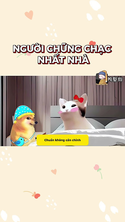 Người chững chạc nhất nhà | Cheems Nhân Văn