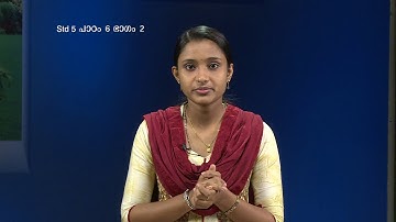 MANE NOBISCUM | Std 5 & 6 | Lesson 6 | Module 2 | SUNDAY CATECHISM | ജീവൻെറ വില