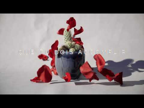 Sophie De Quay Amour Amer Lyric Video Youtube