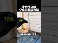 機械を使いこなすカラスの知能