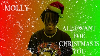 All I Want For Christmas Is Molly mariah Carey X Playboi Carti Mashup