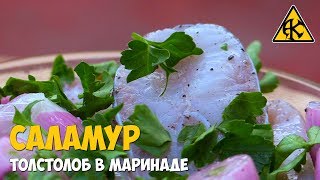 Саламур из толстолоба Саламур из толстолоба