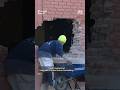 Car goes flying and smashes into St. Louis pet clinic