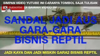 MISKIN GARA2 BISNIS TOKEK