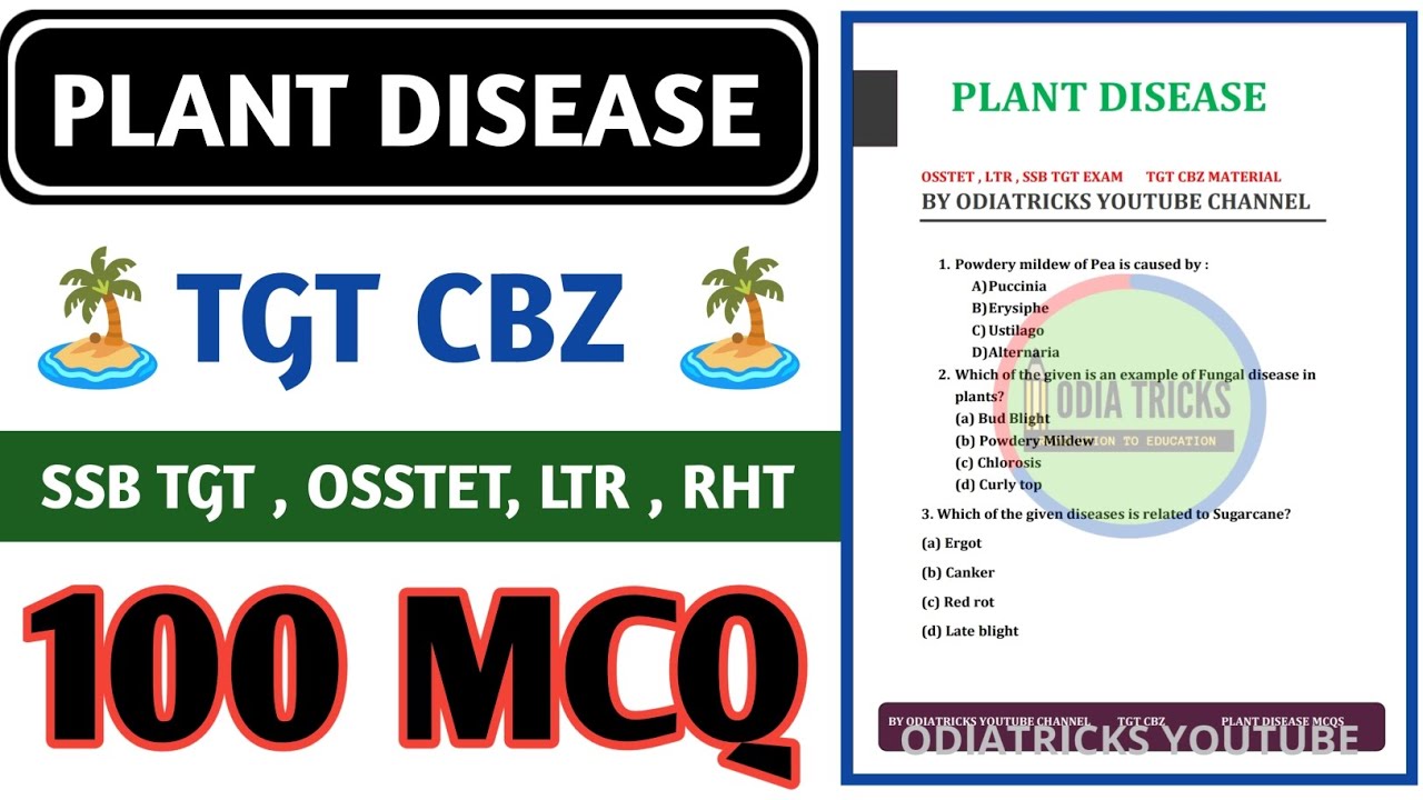 CL-41 || Plant Disease 100 MCQS || Biology Mocktest || Biology Class For OSSTET LTR SSB TGT