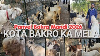 Kota Bakro Ka Mela Hafiz Saeed 97685 80386 | Panvel Bakra Mandi 2026 #bakraeid #deonarmandi #viral