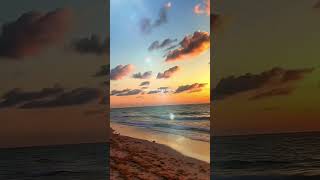 “God knew you needed this mood shift today”