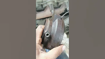 سبب تلف ن بليه الدبريش 