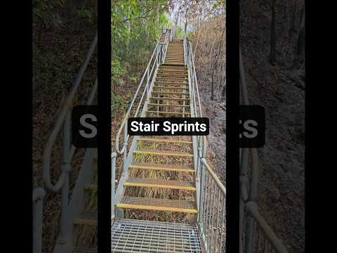 Stoney Creek To Kuranda Blogger Travel Cairns Australia Workoutvideo
