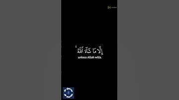 سورة الأعلى القارئ ماهر المعيقلي حالات واتس