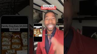 Dog Eats $4,000 Cash! Attorney Ugo Lord Explains How Owners Could Recover The Full Amount! #Shorts