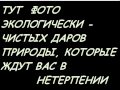 Мое поздравление вам  с Новым Годом!