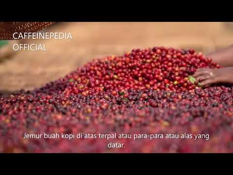 Anaerobic Natural Process Coffee Adalah