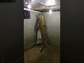 فخم العرب ابورفيق فخم العرب ابورفيق