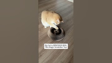 🐾 Interactive Cat Scratcher Toy with Bell - Endless Fun for Your Feline!