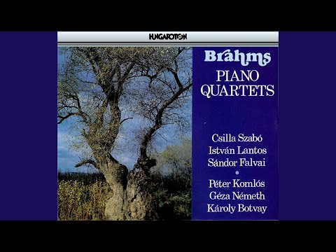 Ver Quartet for Piano and Strings No. 3 in C minor: II. Scherzo. Allegro no YouTube