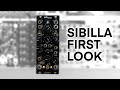 Clatters sibilla  stereo oscillator for drones