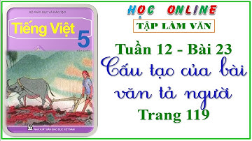 Tập làm văn lớp 5 tuần 12 - Bài 23 cấu tạo của bài văn tả người - trang 119