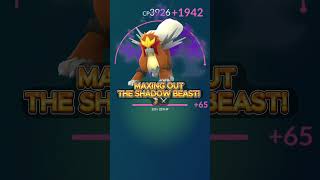 100% IV SHADOW ENTEI MAX POWER! 🌋⚔️ #pogoneutralground